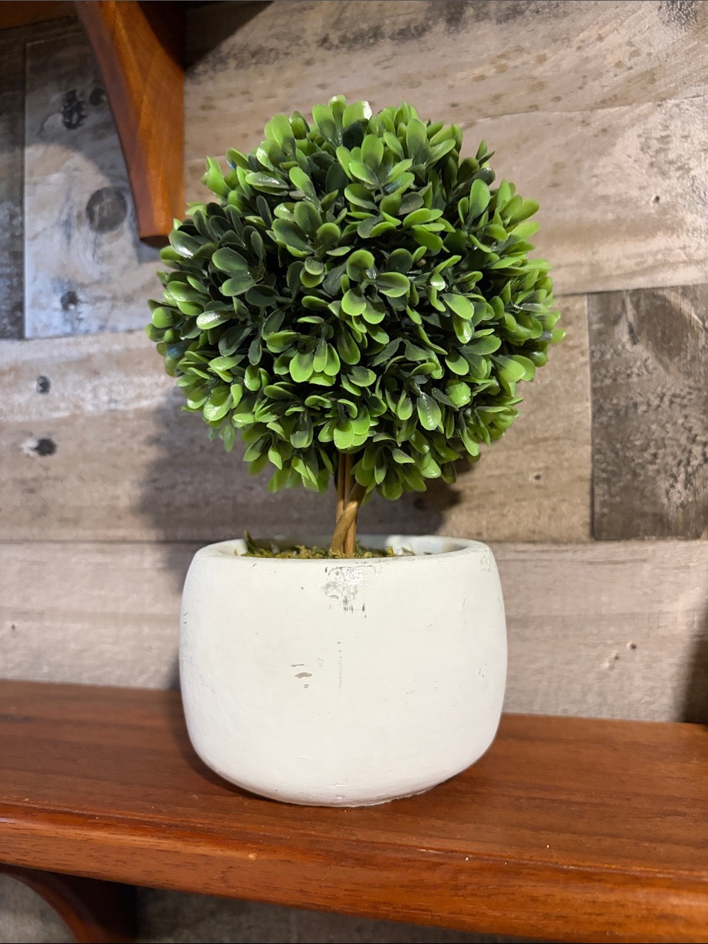 Mainstays Green Boxwood Topiary in White Pot